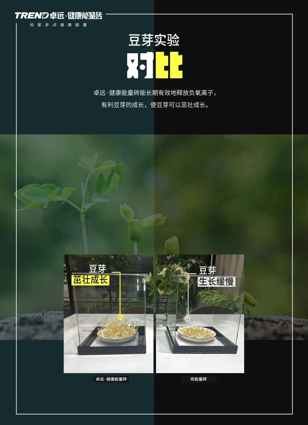 图片 (9).jpg