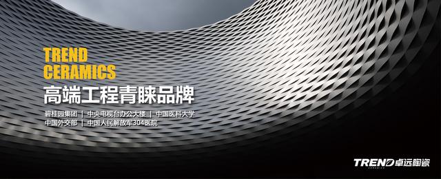 卓远·能量砖,再一次站在了领奖的舞台上
